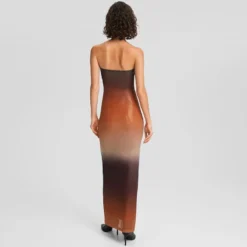 Autumn Women's Sexy Strapless Low Back Gradient Color Slim Long Dress -Women Fashion Shop 924485cad052db05