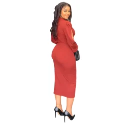 Chic Elegant Style Solid Color Cutout Long Sleeve Slim Fit Women'S Sheath Dress