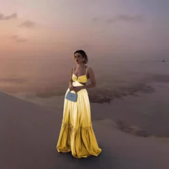 Women Summer Suspender Gradient Backless Sleeveless Dress -Women Fashion Shop eebb2f139efbef70